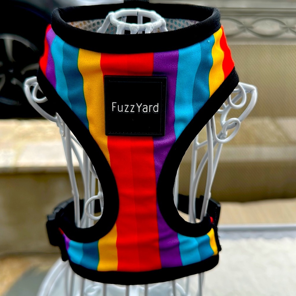 Harness for small dog